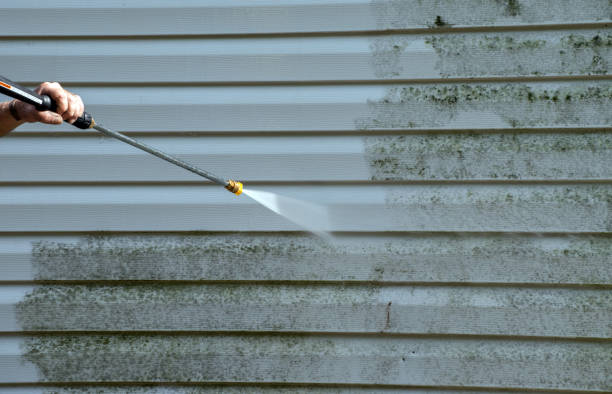Best Roof Power Washing Services  in Egan, LA