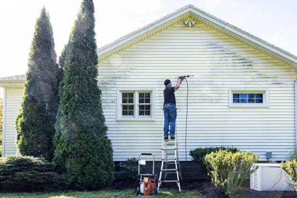 Best Deck Cleaning Services  in Egan, LA