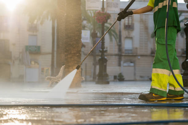 Best Roof Pressure Washing  in Egan, LA