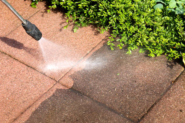 Best Local Pressure Washing Services  in Egan, LA