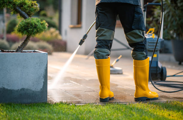 Best House Pressure Washing  in Egan, LA